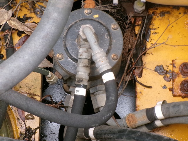 a029-sgnn.jpg